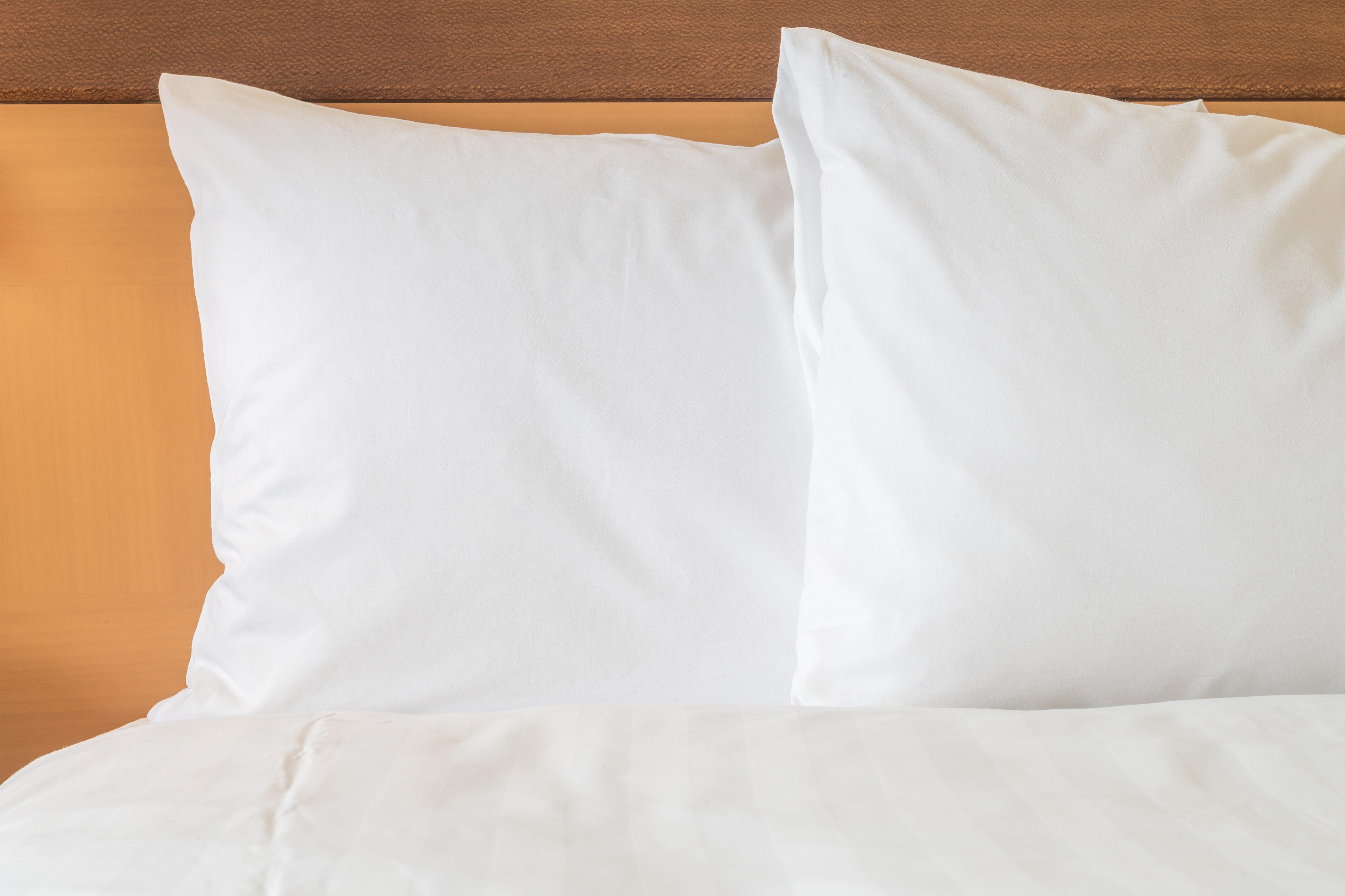 Holiday Inn Express & Suites - Port Elgin Buitenkant foto